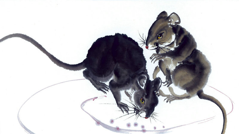 易经风水解读 学习风水学入门指南及易经风水讲座介绍 易经风水解读 学习风水学入门指南及易经风水讲座介绍