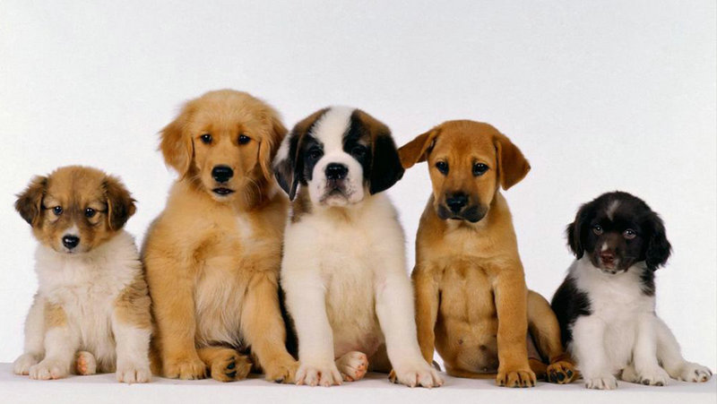 2025年客厅摆放什么风水好 2025年客厅摆放什么风水好