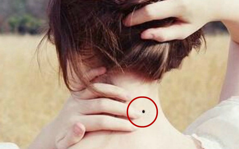 ������ʲôֲ���ˮ��