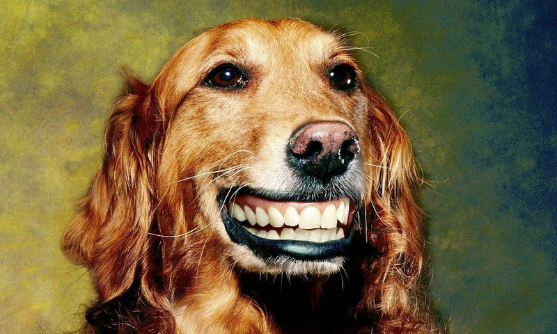 2025��5��17�ղ���λ��ѯ����