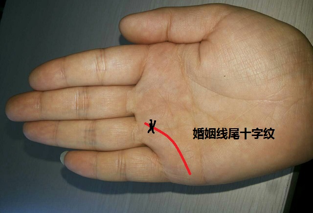 2013������Ů��������Զ���ͥ��������(2013������Ů������Ҫ�����ͥ��������)