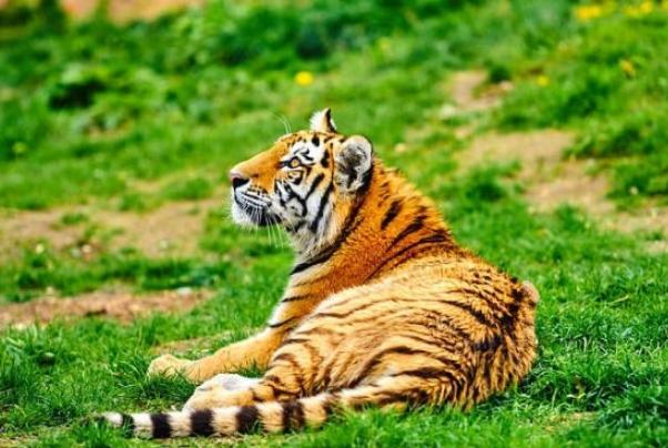 2025��10��09�ղ���λ��ѯ����