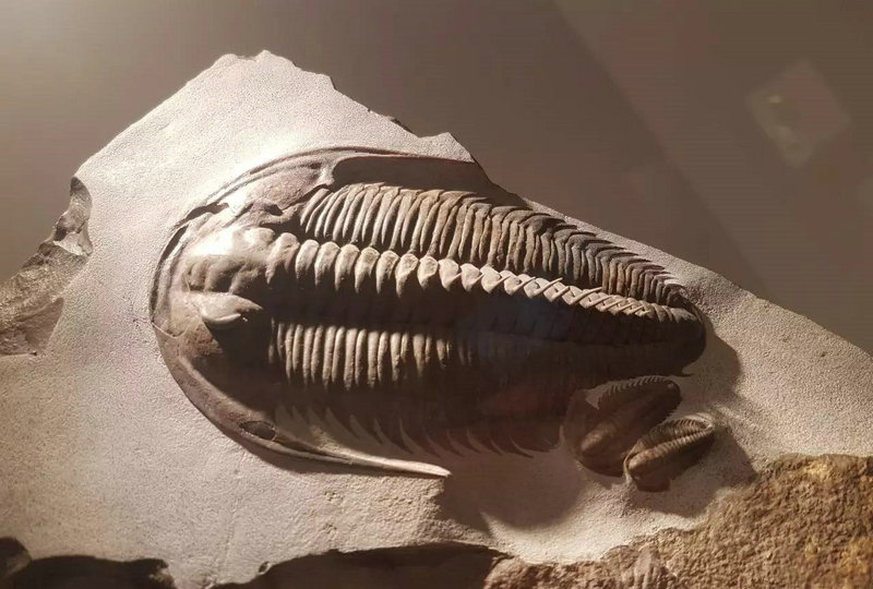 1700诸葛测字甲骨文能否婚姻质量的真相与未来走势(1700诸葛测字甲骨文能否婚姻质量的不安与前景) 1700诸葛测字甲骨文能否婚姻质量的真相与未来走势(1700诸葛测字甲骨文能否婚姻质量的不安与前景)