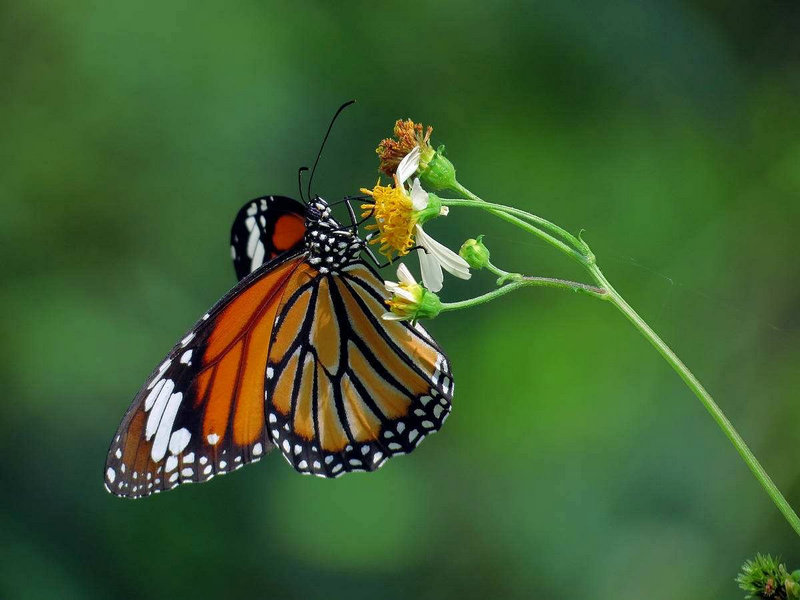 ȡ�����Ƶ�����