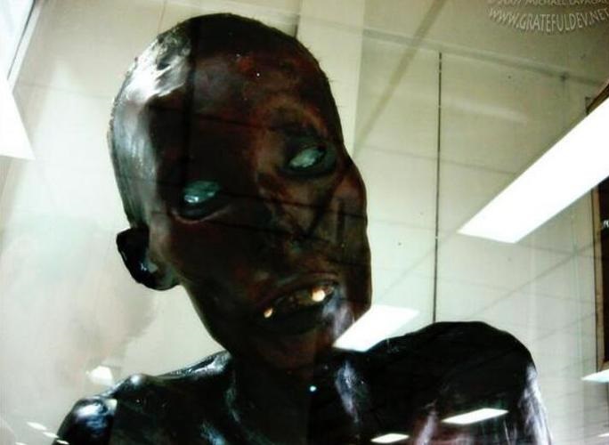 2025��11��18�ղ���λ��ѯ����