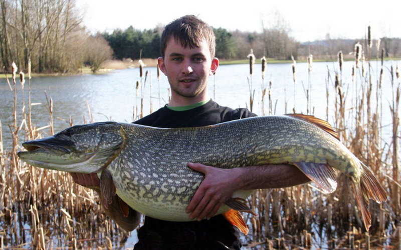 �Եϳ����������л����Ů���������ֻ�����������(�Եϳ��������Ի�Ӱ������Ů������˳����չ)