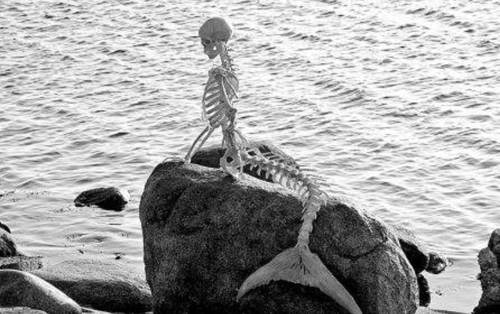 �ŷ�Ů����������������� Ů������ŷ����ֺ���