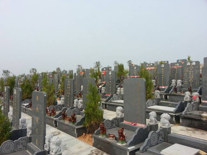 2025��Фţ�°������ƻ᲻���ծ���������Ӱ��(2025��Фţ�°�������ծ�����⽫�������Խ��)