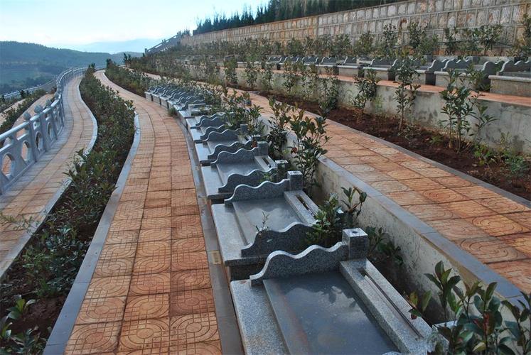 �к�ȱ�����������ֺ����Ӱ��δ�����ƹ��(�к�ȱ�����������ֺ����ܴ��������й�ͨ˳��)