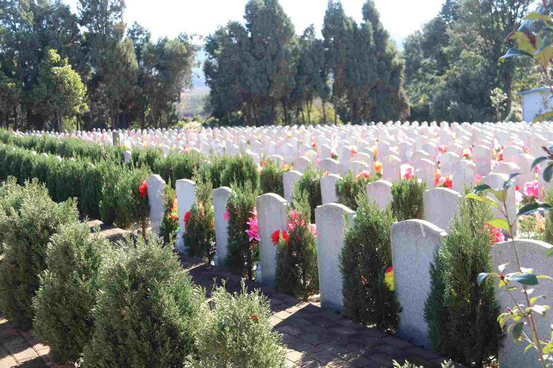 2025��С�к��������ֻ�Ӱ��δ�������Ҹ�(2025��С�к��������ֻ�Ӱ��δ������������)