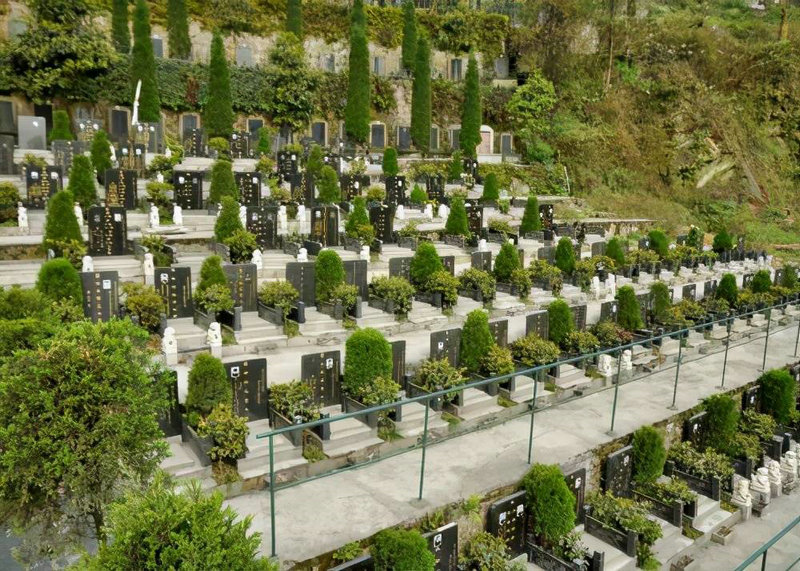 ������������԰�ʾ����ʧ���Ǳ�ڷ���(�������������Ǳ�ؾ���ʧ����Ա�������)