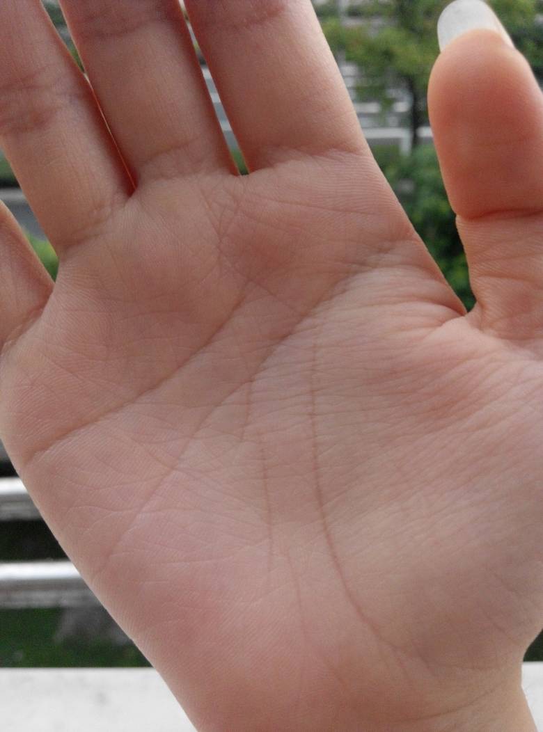 ���������к����ִ�ȫ �����к����ִ�ȫ�ɰ�����