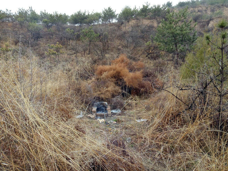 脖子上长痣面相好吗 脖子上长痣面相好吗