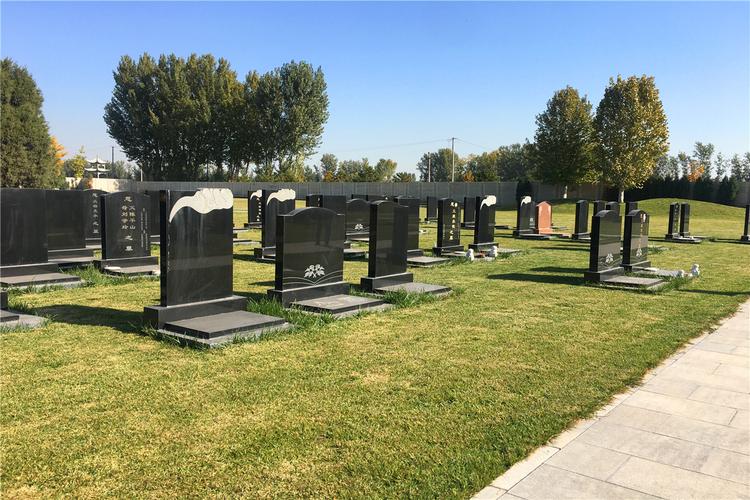 �����������ֺϻ�������᲻���ǳ����� 