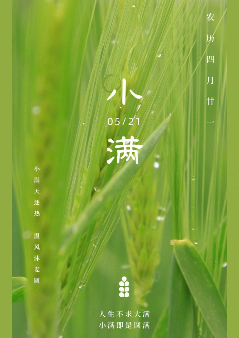 ���Ӷ�żټҳ����ż�ì�ܺν� ���ô���ٳɼҳ�����