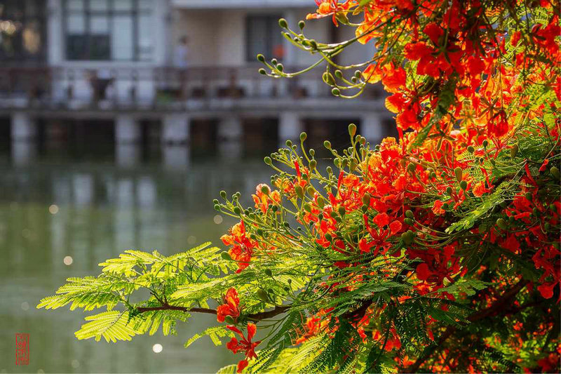 2025��Ф�����·��޹�ͨ��ʽ������������(2025��Ф�����·��޹�ͨ��ʽ��������)