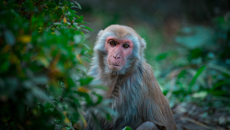 ��������˫��Ů����������