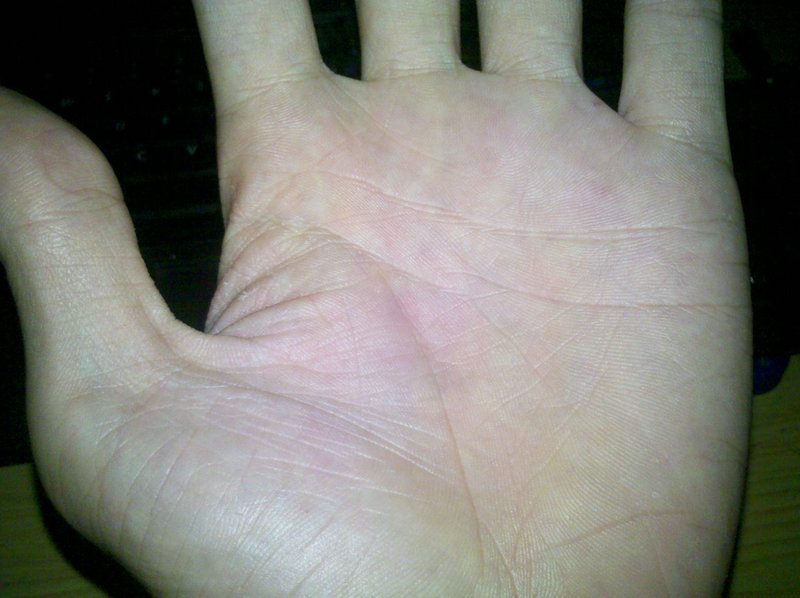 汽车篷布 汽车篷布厂家 汽车篷布 汽车篷布厂家