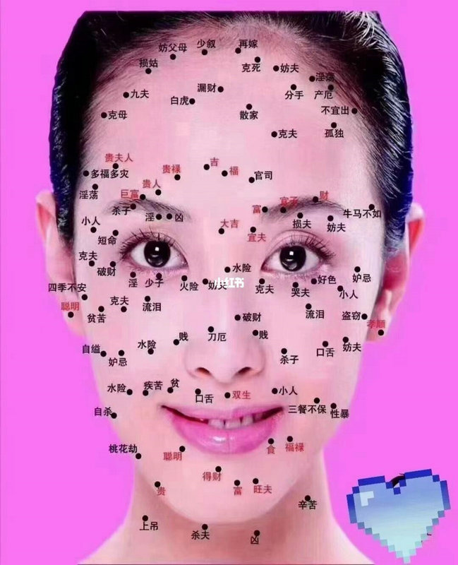 סլ��ˮѧ�������� ��ѧ��ָ��