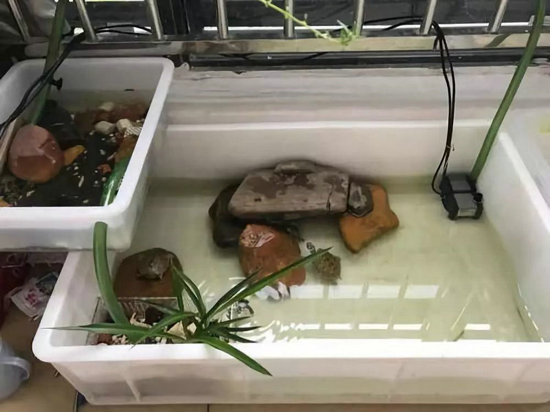 �޵ı������