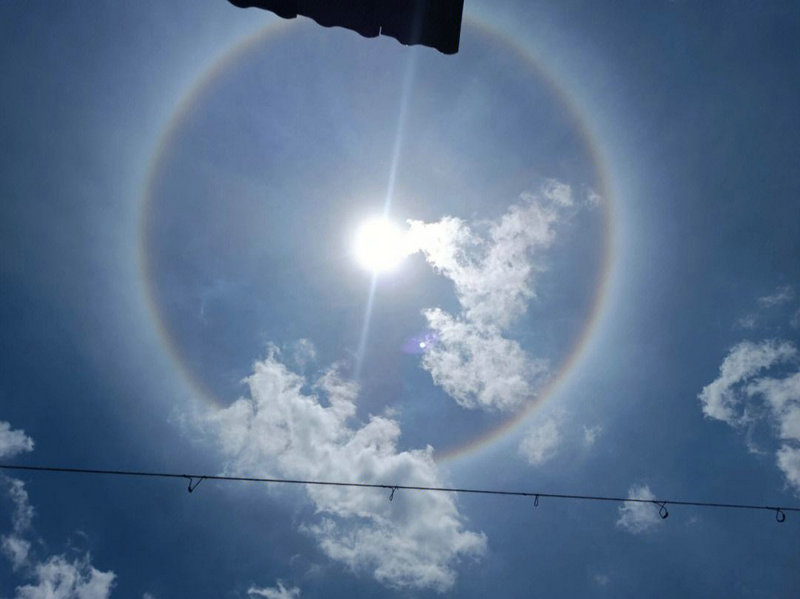 1988犯太岁吗生肖狗看待秘密的处理方式(1988犯太岁吗狗年对秘密保持警惕) 1988犯太岁吗生肖狗看待秘密的处理方式(1988犯太岁吗狗年对秘密保持警惕)