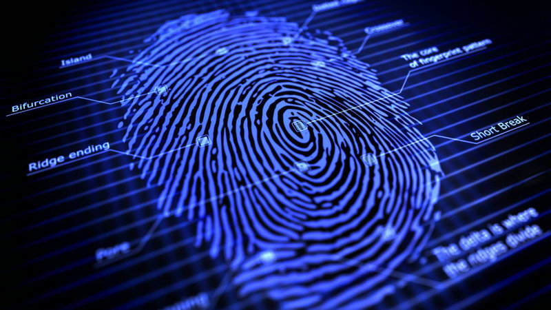 ���������Ե�������� ���ڰ�������������Ի���