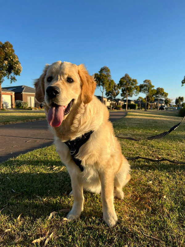 2025��11��12�ղ���λ��ѯ����