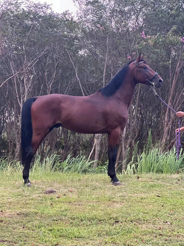 2025��1�·�����ʲô���� 2025��һ�³�����ʲô����