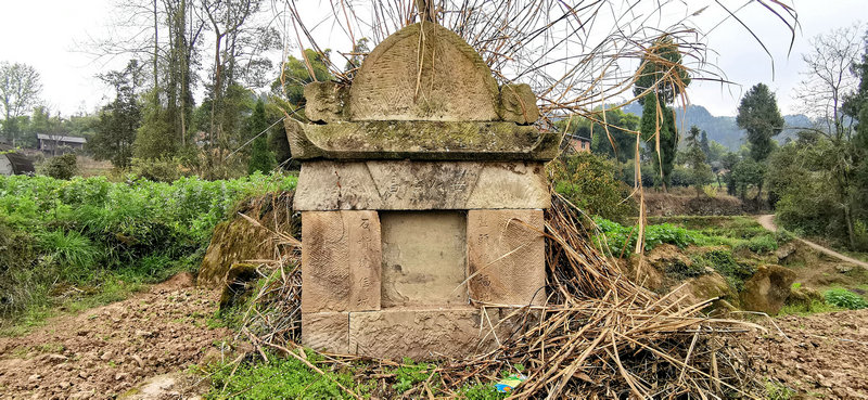 八字走印运是什么意思 八字走印运是什么意思