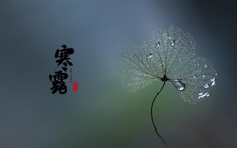 何陈巍全国同名同姓的手工艺兴趣会否影响未来运势(何陈巍全国同名同姓手工艺兴趣隐藏着神话的启示) 何陈巍全国同名同姓的手工艺兴趣会否影响未来运势(何陈巍全国同名同姓手工艺兴趣隐藏着神话的启示)