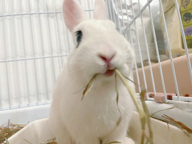 周易杂谈周易之道究竟是怎样 周易杂谈周易之道究竟是怎样