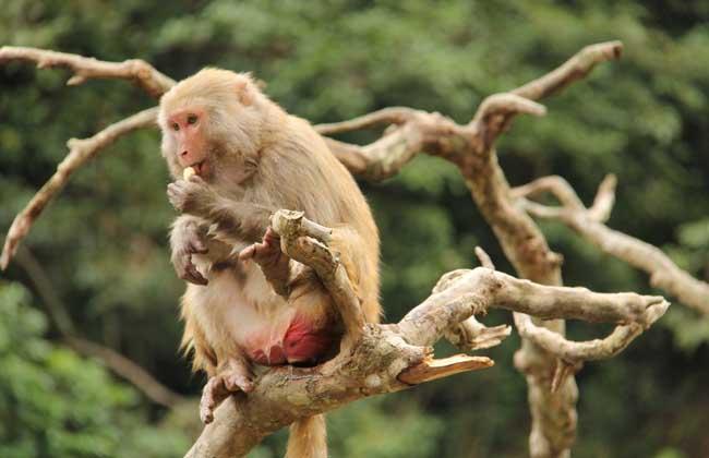 �����ȼ ������� ��������������Ѷ��Ƶ����ȫְ���ֳ�ȼ�˶���