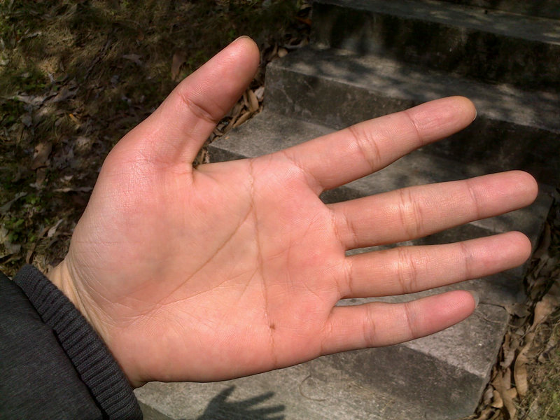 事业不顺化解 事业不顺化解