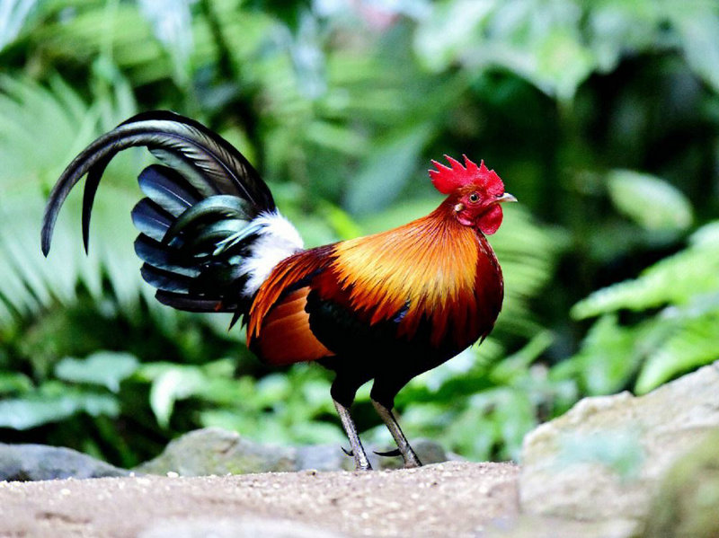 ������ǩ����_���ӹ�ϵ���Ż��������(������ǩ����_���ӹ�ϵ����_��ҵ�𲽻᲻������)