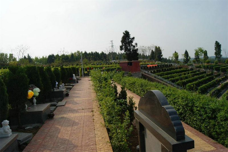 2025��10��21�����д�����ɫָ��