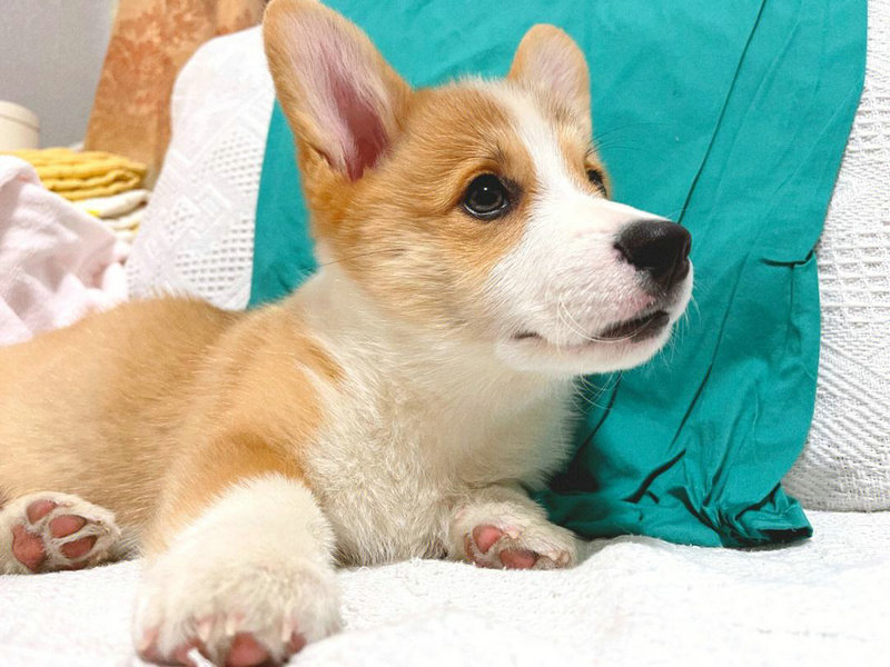 酷到炸的小仙女网名 酷到炸的小仙女网名