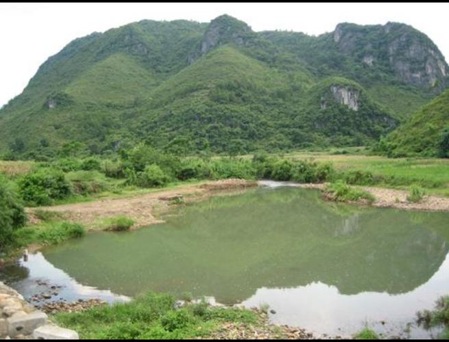 2025给宝宝起名承载婚后家庭责任的期望与未来(2025给宝宝起名能承载婚后家庭责任的期望) 2025给宝宝起名承载婚后家庭责任的期望与未来(2025给宝宝起名能承载婚后家庭责任的期望)