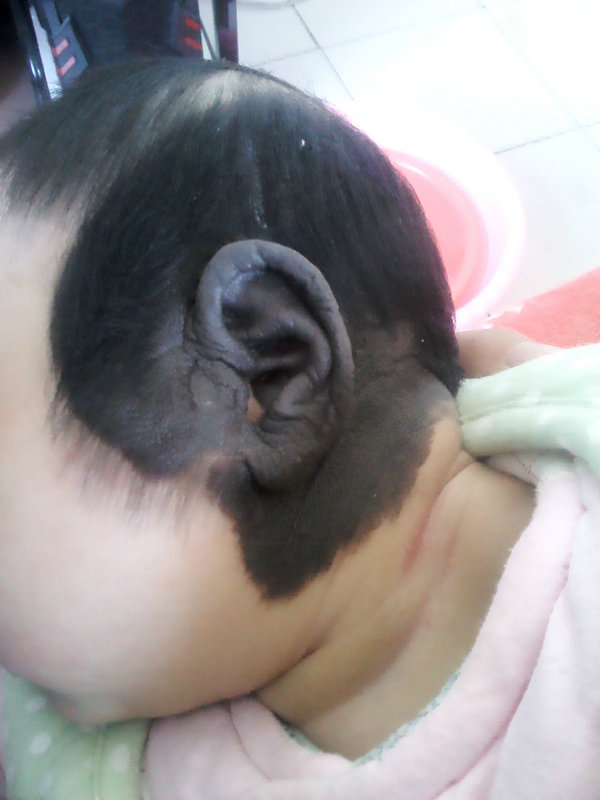 1999�ı���������Ф������Ů�����������(1999�ı���������Ф��Ӱ��Ů�����������)