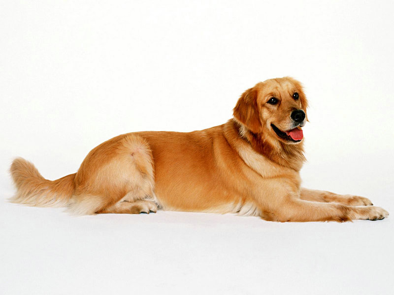 2025��������ֿ�