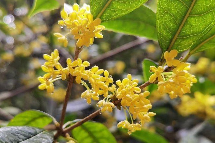 传统周易学八卦基础知识及应用 传统周易学八卦基础知识及应用