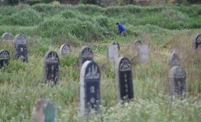 ����������²�ѯ ȫ�������