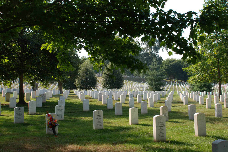 出生图解释 出生图解释