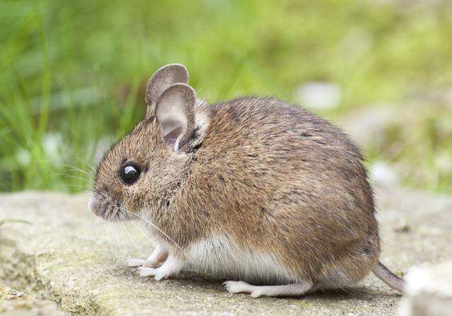 �ٽ���ҵ��չ�칫����ˮ