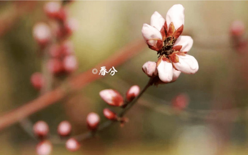 ������ŵؾܾ����˵ı���