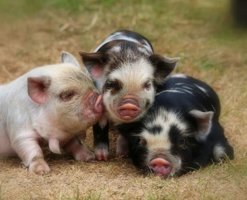 ���غ���˭�������غ��ͷ����������ǲ��ǲ�