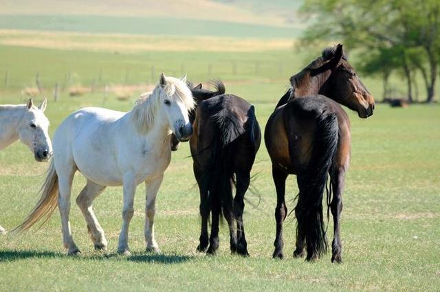 ����ͩ�������ļ�������ͩ��������ʲô