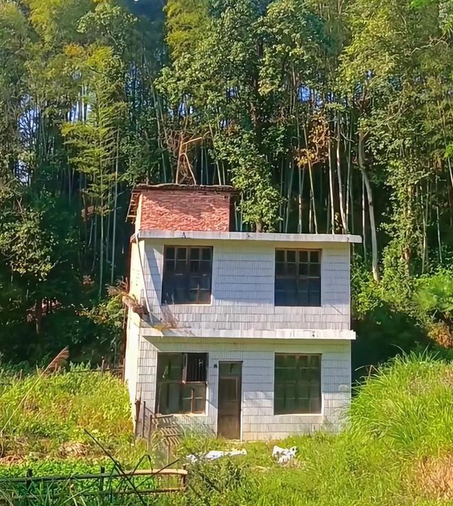 ����λ��ָ�� 2025��12��12�ղƸ����Ʒ������