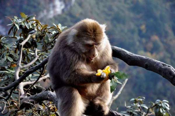 i��˾��������Ƹ�����������������������(Ϊi��˾�����Է��ϲƸ�������������������)