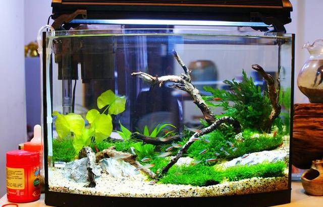 ţ���������Ƽ��׻᲻��Ӱ�������ճ������е����ƺͲ�����ֵ�ù�ע�ĵط���