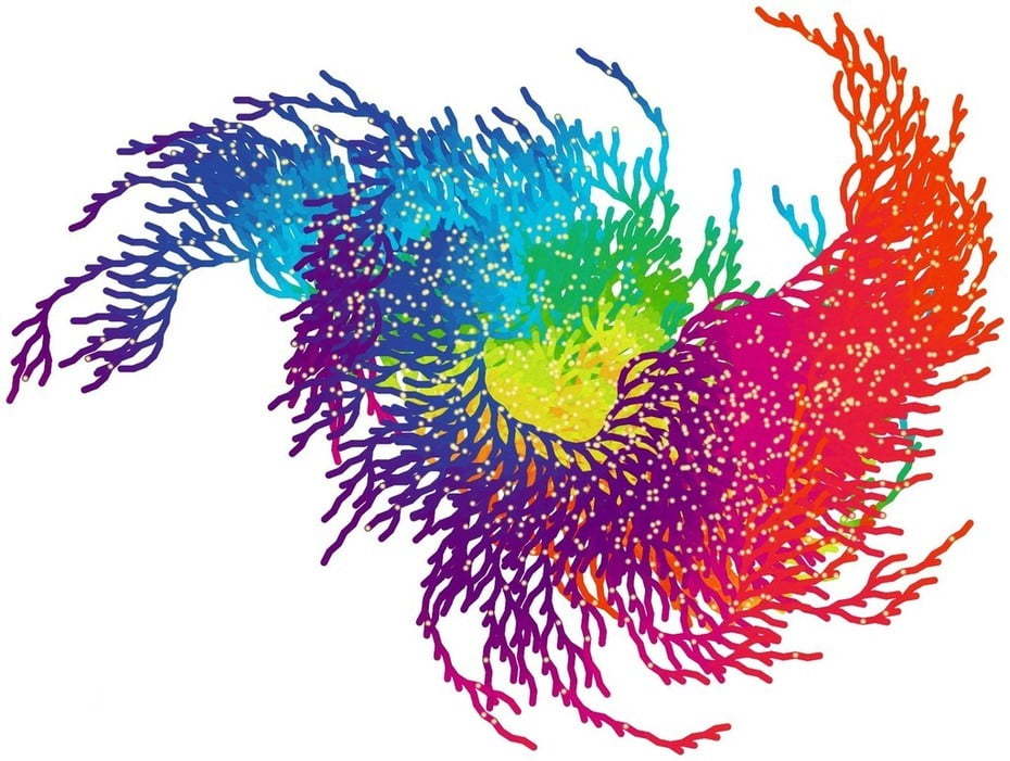 �������յ����� �����������շ������ִ�ȫ